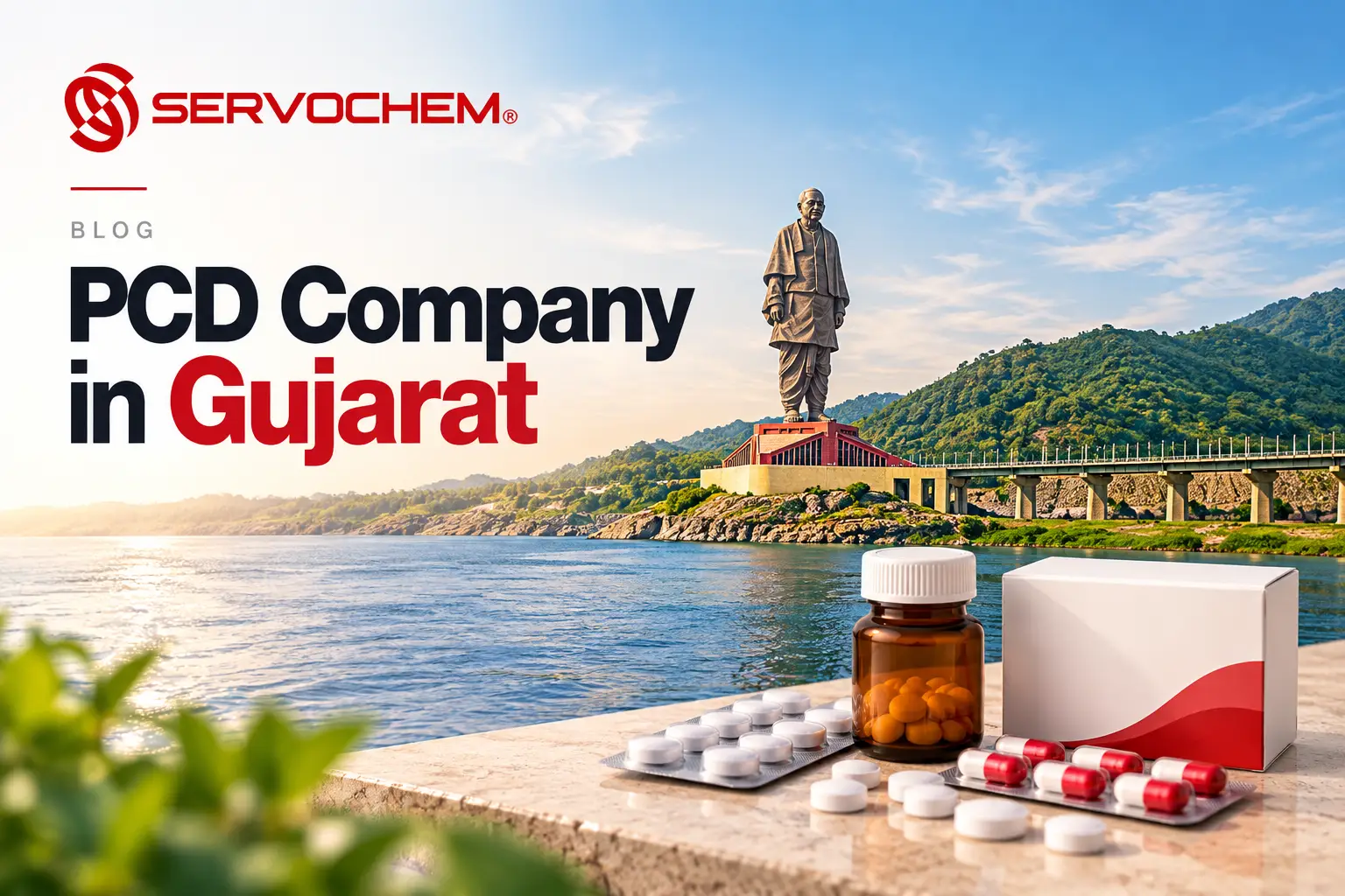 PCD Company in Gujarat: Pharma Franchise Opportunities Across the State