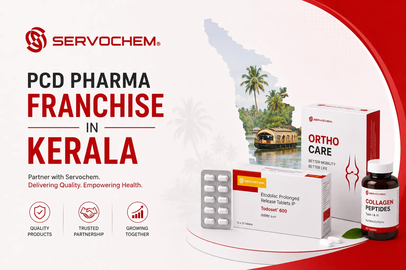 PCD Pharma Franchise in Kerala: What Makes This Market Different