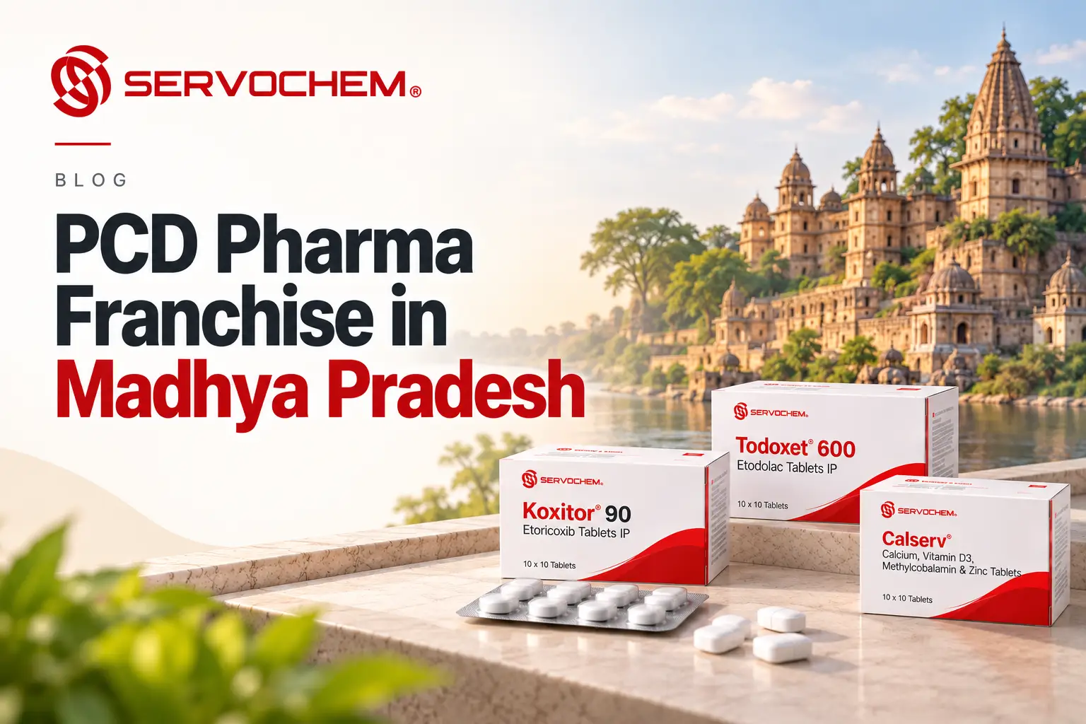PCD Pharma Franchise in Madhya Pradesh: What Ortho Partners Need to Know
