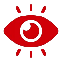 Our Vision